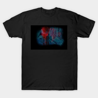 Darkness - The Unknown T-Shirt